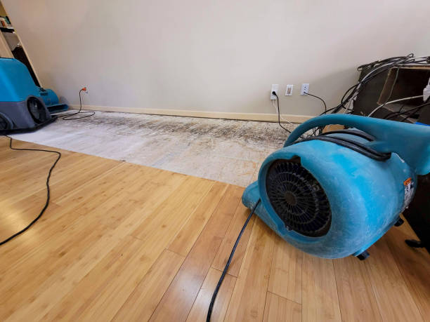 Professional Water Extraction technician working in Shrewsbury, MO